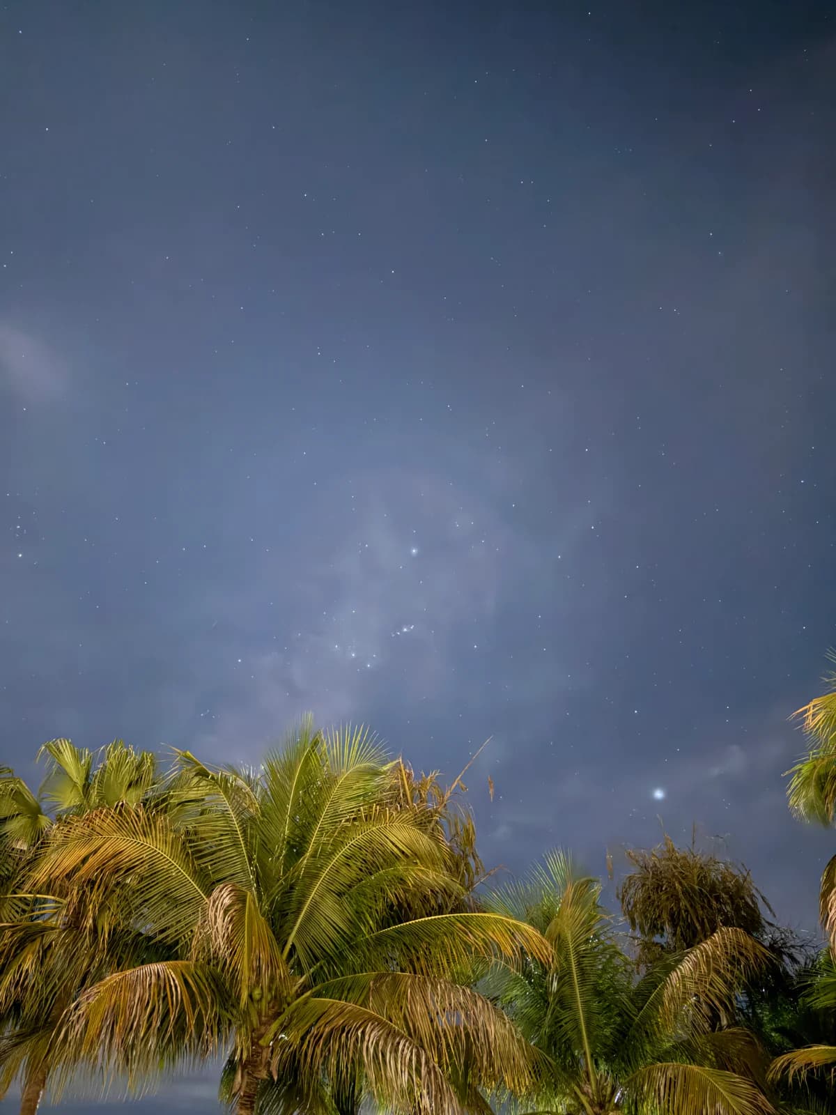 Rancho em Cardoso - Foto 10