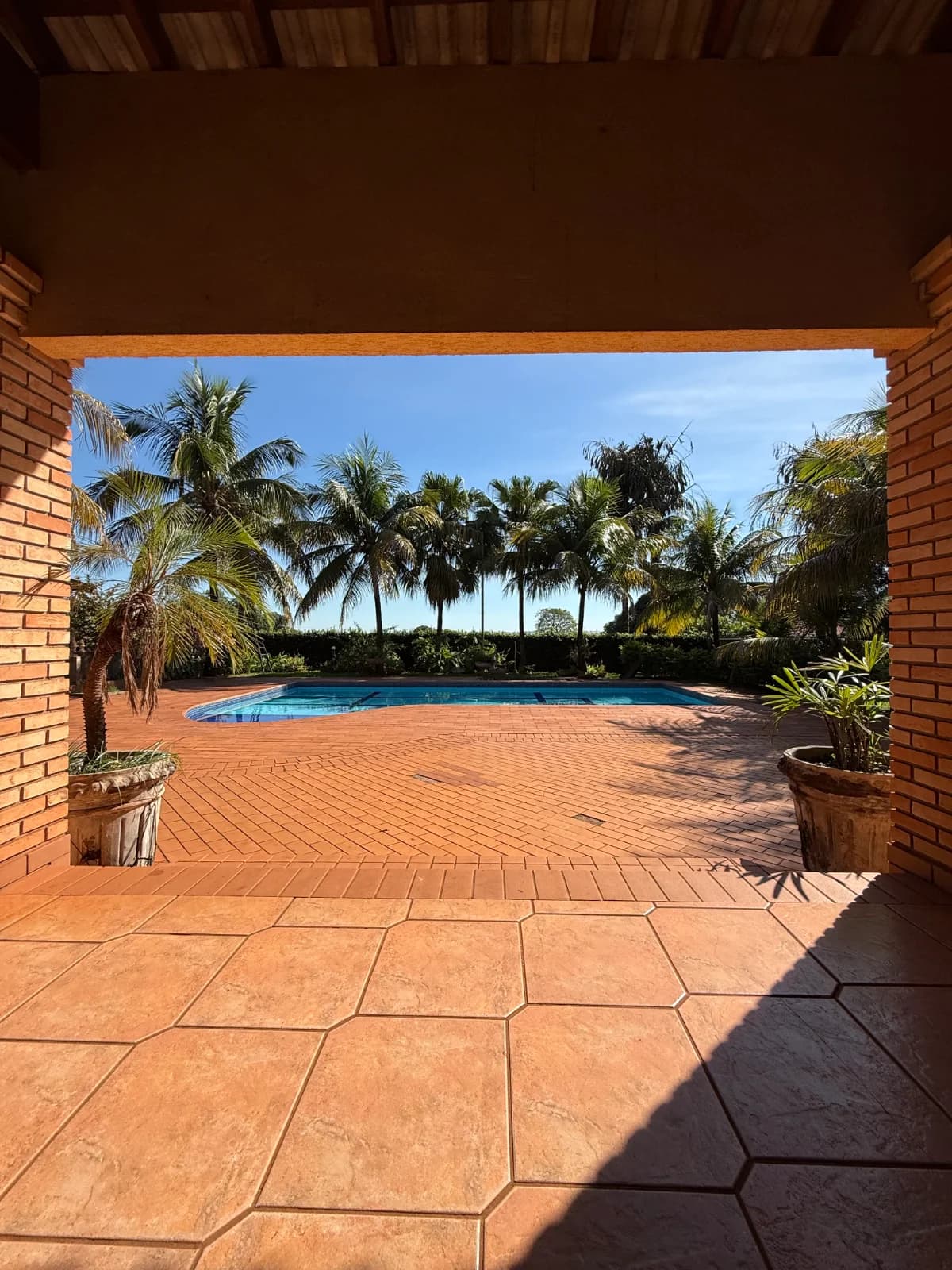 Rancho em Cardoso - Foto 7